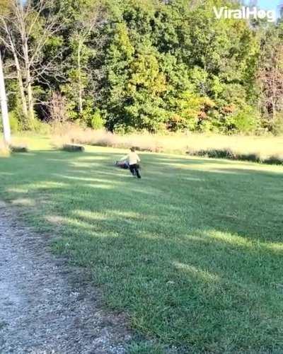 Raiders of the Lost Ark