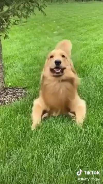 Derp mode activated.