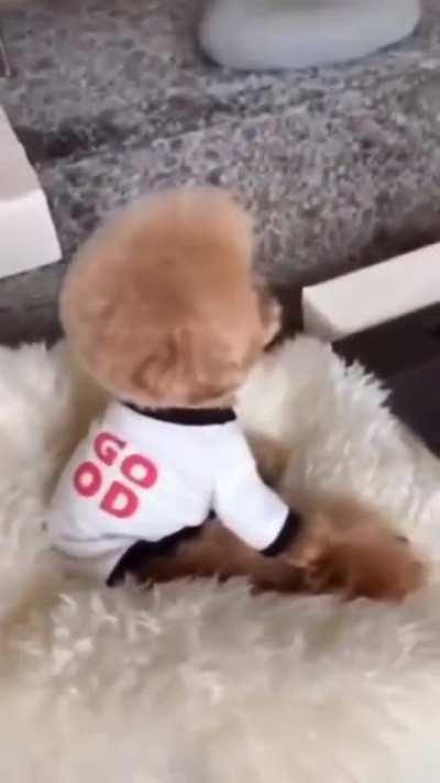 😂😂 PUPPY Love Watching CARTOONS in the Morning 😂😂