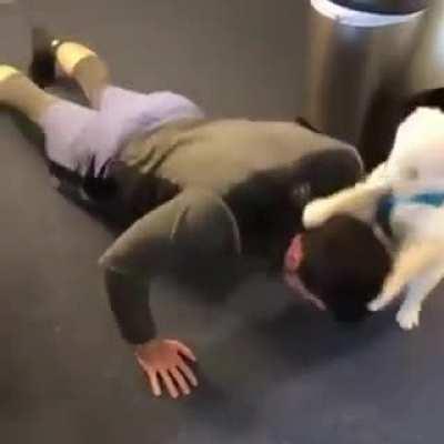 CIA dog interrogates suspect