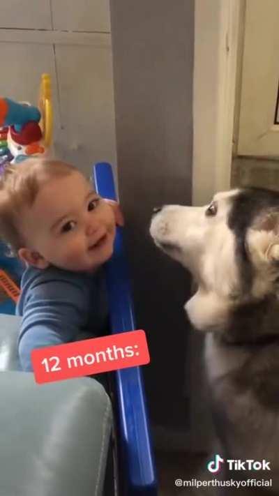 Dogs bonding with a new baby in the family gets me every time