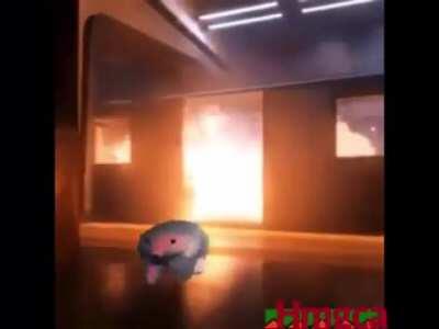 when i log out of the pyrocinical subreddit after 3 hours of looking