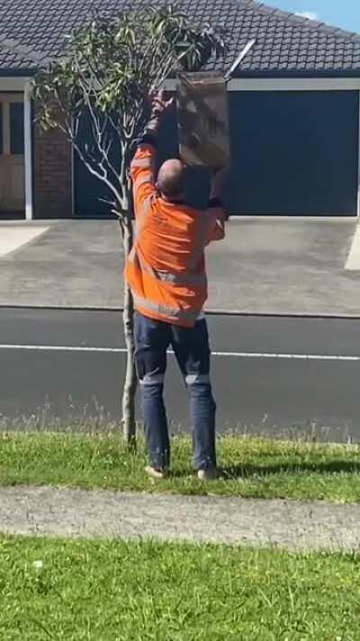 WCGW when you try to put bee nest into a box?