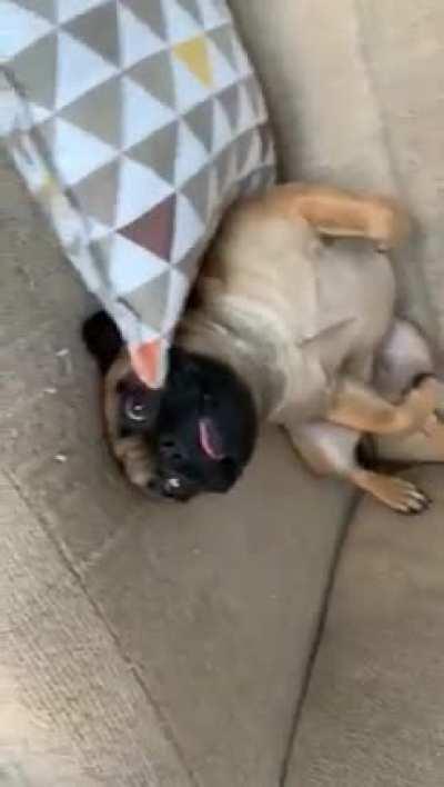 Extra derp