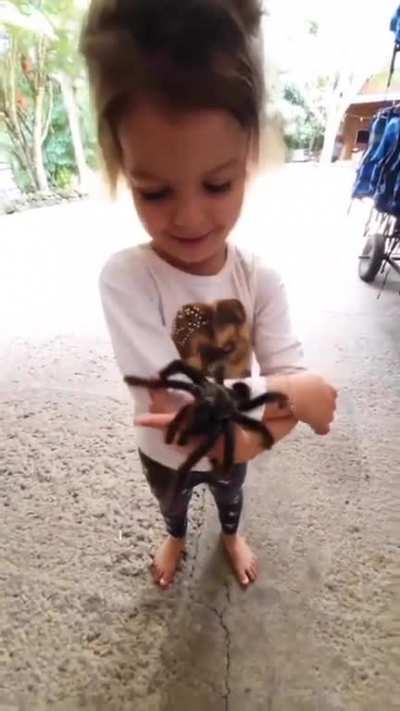Girl and her two pet giant tarantulas