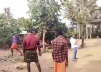 Elephant playing cricket in Kerala