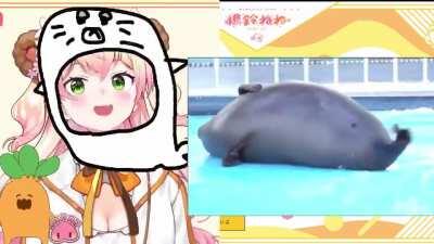 Definitive Proof That nene is a seal, she has the movement on point and everything.🦭