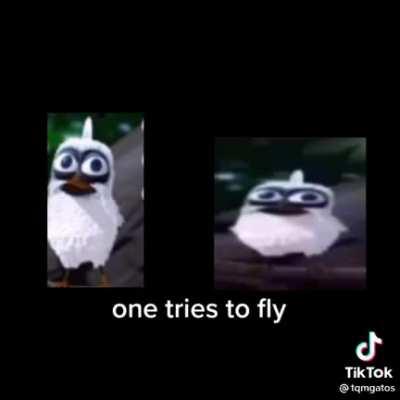 The type of humor i like