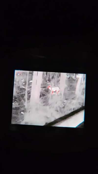 Mileseey TNV10 Pro Video