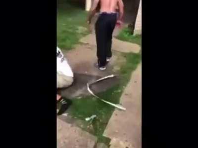 When you just need to be hit more..