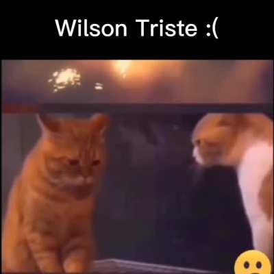 Wilson Triste :(
