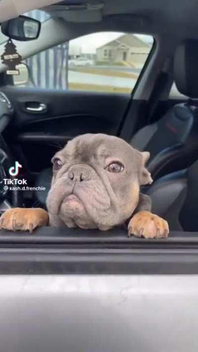 I'm a great driver! Sound on.