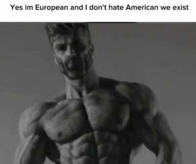 Every country has flaws 