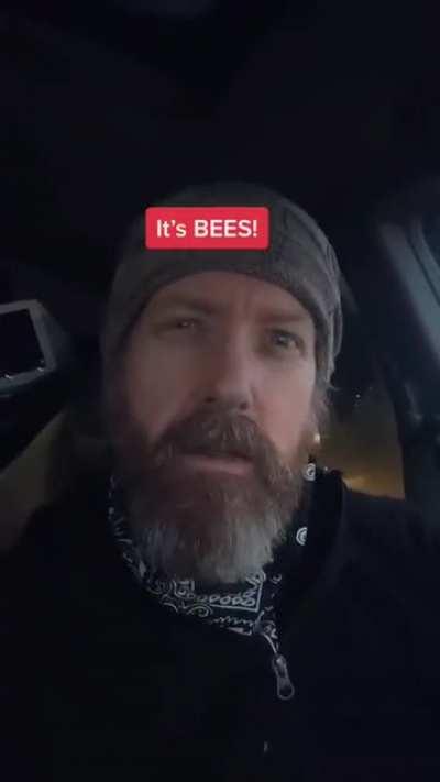 Verschil tussen UK en US