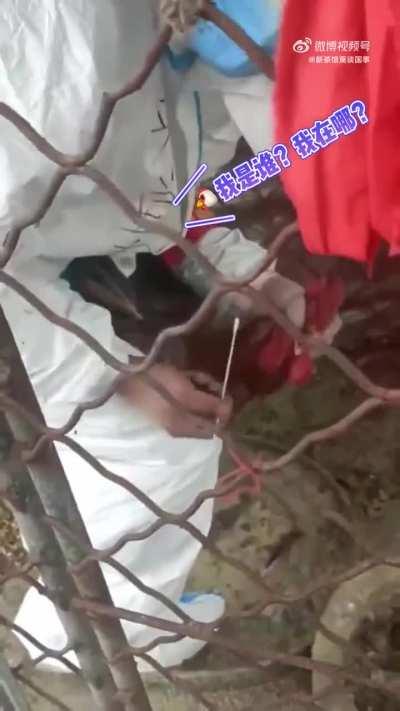 精彩的视频不需要文案