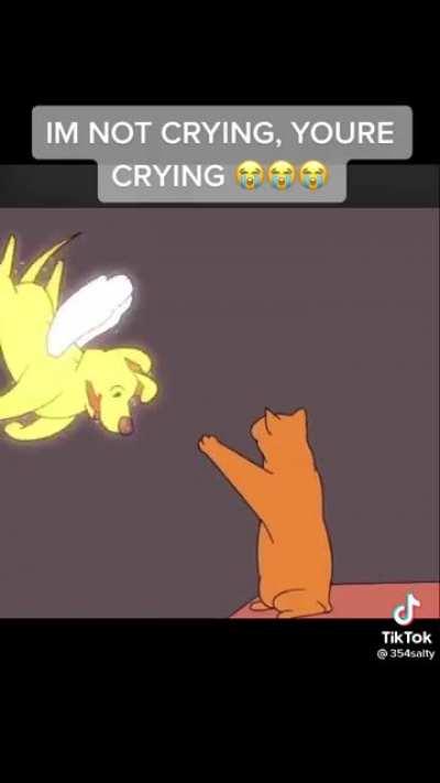 This person made a animation of a dead dog for a someone