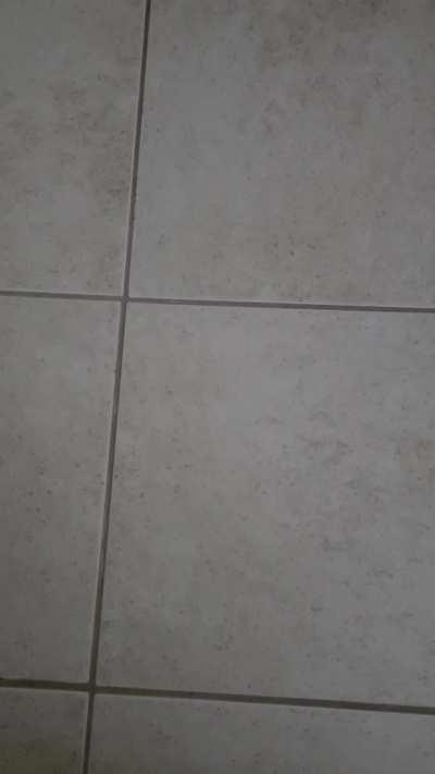 My Farts Are Cute 🤭