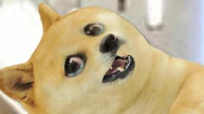 Le make a wish foundation has arrived