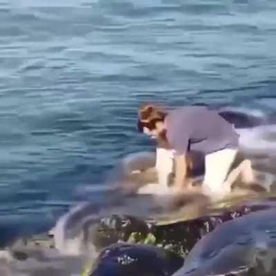 A good-natured passerby helped the turtle get out of the stone trap.