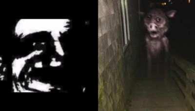 Eu tenho medo d-do... do...