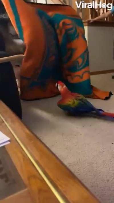 Hahah Poor Soul wasn't Ready for Trick