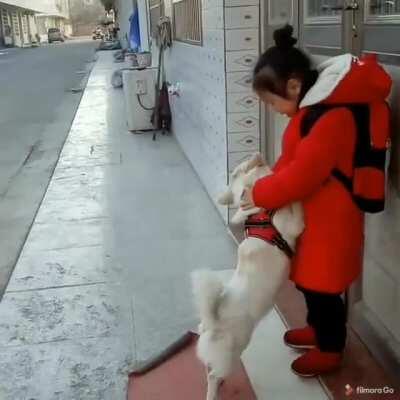 Little red riding hood