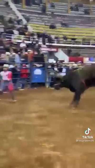 Found this Gem today.