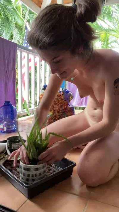 Repotted some plants