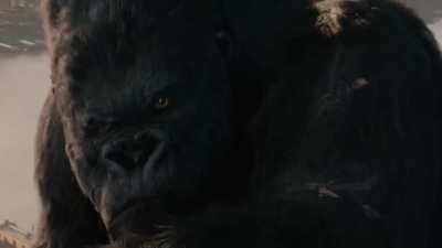 GME Hype Vid (2nd Installment)