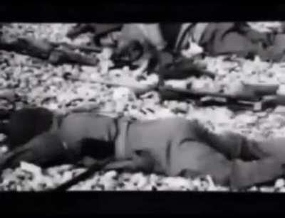 For Remembrance Day and Veterans Day, I want to honor the Canadian soldiers and the men from our allied nations who gave their lives. Lest we forget. The Maple Leaf Forever.