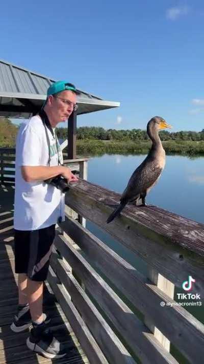 Just a guy 🦉 being a real dude 🦆