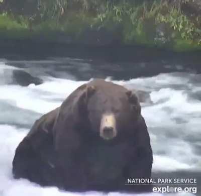 Absolute Unit among Absolute Units