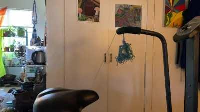 Is the yarn a threat? Conclusion- a deadly threat.