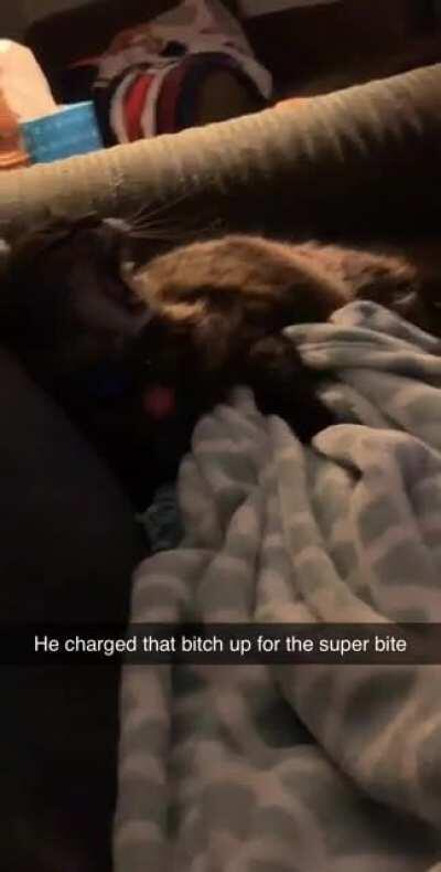 He does not like to be messed with while watching tv.