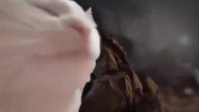 Me 10 minutes before the Battlefield 2021 reveal..