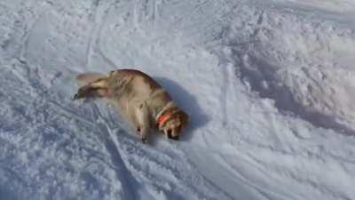 Very original technique, I must say