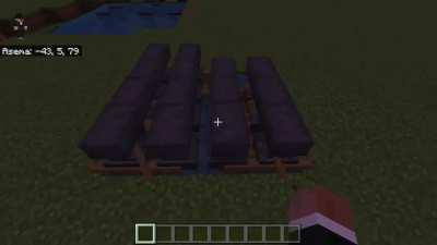 I found an glitch that makes anvils go nuts.