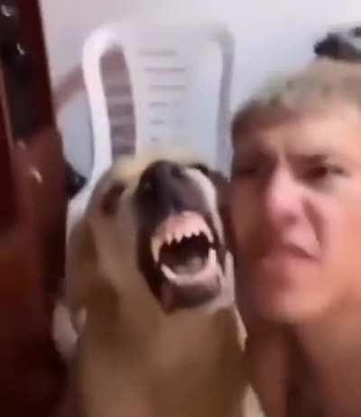 blursed_growl