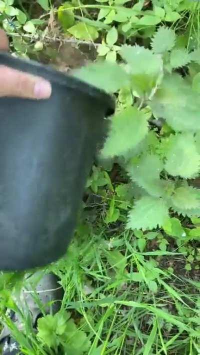 Footage of a secret Czech agent being sent on a mission to infiltrate polish army