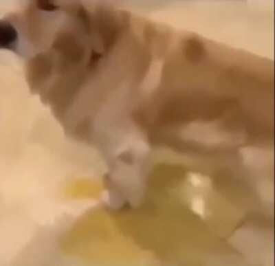 6yo me when dad had to take me to school