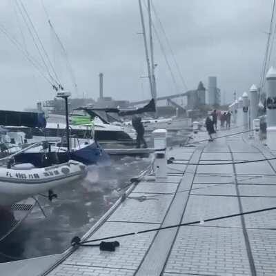 A little windy, yeah?