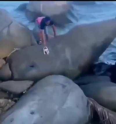 Disrespectful kitten banished as punishment