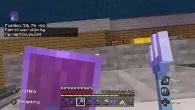 I will never forgive myself