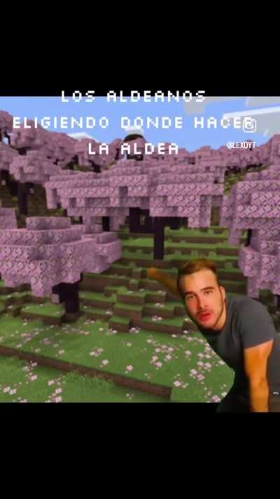 Hay que admirar la ingeniería de los aldeanos