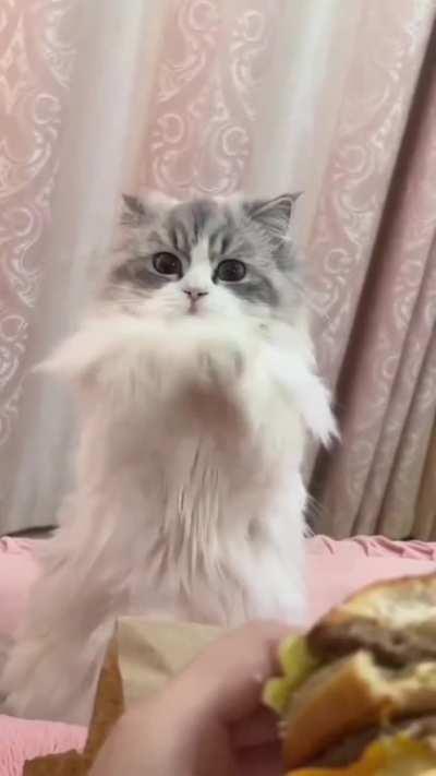 Give me this one, yummy!