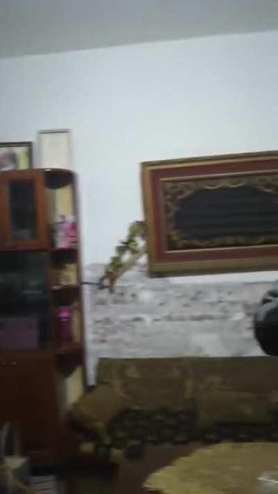 When you convince your dad to watch anime with you, and he actually likes it.