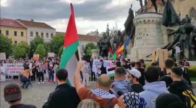 Cat timp Cluj e frun ci ia. Palestina-i tara mea