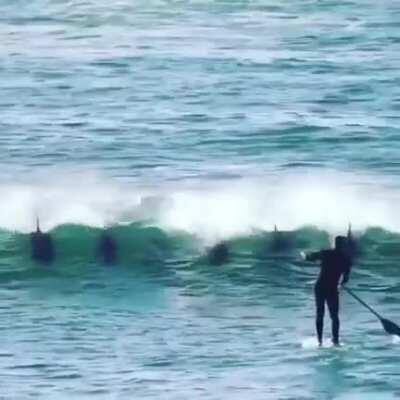 At least it wasn’t Seal Team Six