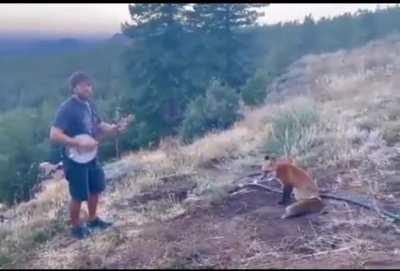 Благодарный слушатель