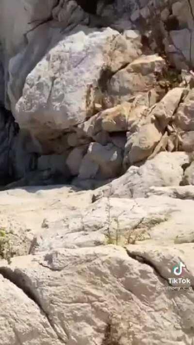 I think they are on a date